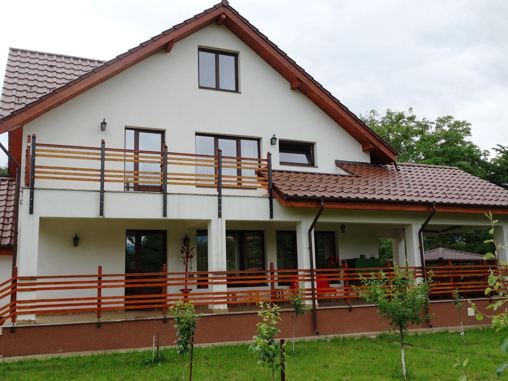Pensiunea Tania-Nora Alexandru cel Bun Exterior photo