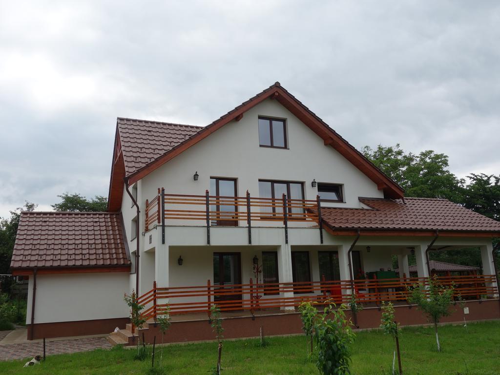 Pensiunea Tania-Nora Alexandru cel Bun Exterior photo